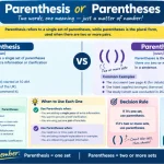 Parenthesis vs Parentheses